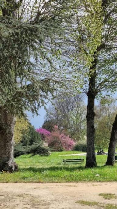 Pavillon Des Ecureuils Au Chateau Royal De Benays Benais Екстериор снимка
