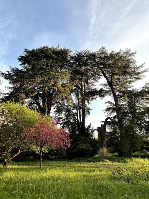 Pavillon Des Ecureuils Au Chateau Royal De Benays Benais Екстериор снимка